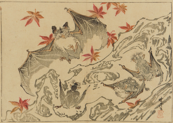 Woodblock Print of Bats by Kawanabe Kyosai - Meiji Period - Smithsonian Museum of Art